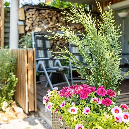 Casa Gina Apartment Stockach